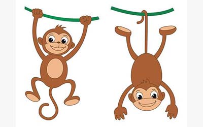 生肖属猴的和什么属相最配最长久呢